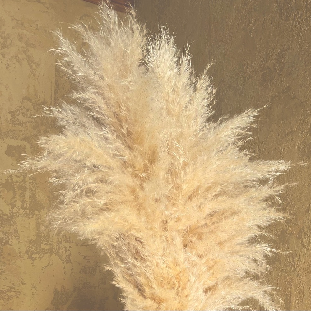 Bundle For Bailey <3